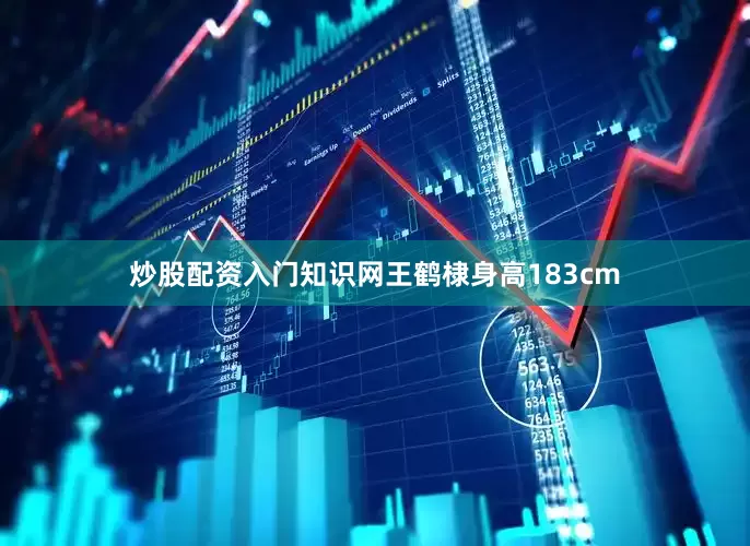 炒股配资入门知识网王鹤棣身高183cm